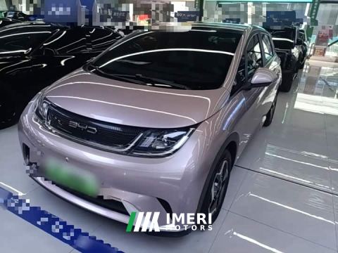 2023 BYD Dolphin 405km Fashion Edition