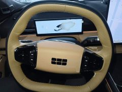 Geely Galaxy Xingyao 8 130km EM-P Starship Edition - photo 10