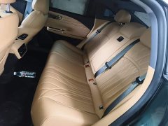 Geely Galaxy Xingyao 8 130km EM-P Starship Edition - photo 16