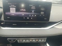 Geely Xingrui 2.0T Diesel Luxury - photo 12
