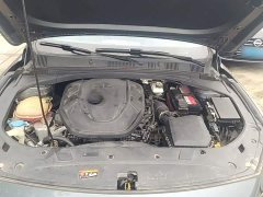 Geely Xingrui 2.0T Diesel Luxury - photo 19