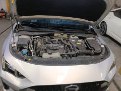 Trumpchi Shadow Leopard Shadow Leopard H Intelligent Hybrid Edition - ფოტო 19