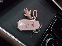 Chery Tiggo 9 9X 2.0T Automatic Two-Wheel Drive Luxury - ფოტო 8