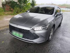 BYD Qin PLUS Glory Edition DM-i 55KM Superior - фото 1