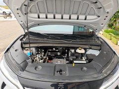 BYD Yuan UP 301KM Leading Edition - ფოტო 19