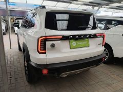 Great Wall Dachshund 1.5T DCT Two-Wheel Drive Border Collie Edition - ფოტო 4