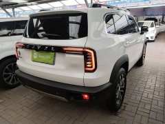 Great Wall Dachshund 1.5T DCT Two-Wheel Drive Border Collie Edition - ფოტო 6