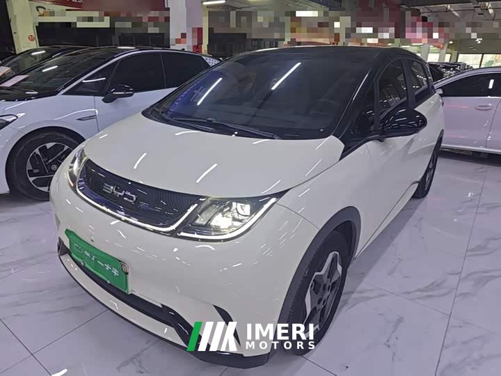BYD Dolphin 405km Fashion Edition - ავტომობილი ჩინეთიდან