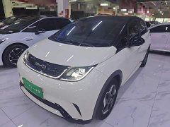 BYD Dolphin 405km Fashion Edition - ფოტო 1