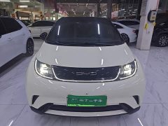 BYD Dolphin 405km Fashion Edition - ფოტო 2