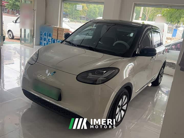 Wuling Binguo 333km Joy Edition