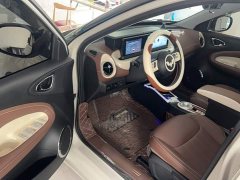 Wuling Binguo 333km Joy Edition - ფოტო 10