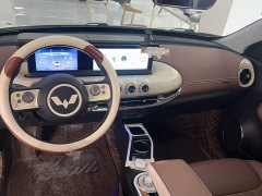 Wuling Binguo 333km Joy Edition - ფოტო 12