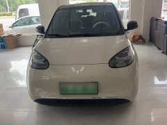 Wuling Binguo 333km Joy Edition - ფოტო 14
