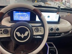 Wuling Binguo 333km Joy Edition - ფოტო 15