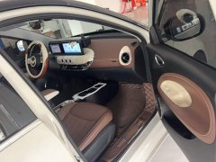 Wuling Binguo 333km Joy Edition - ფოტო 5