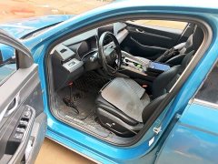 Geely Xingrui 2.0T Diesel Luxury - ფოტო 15