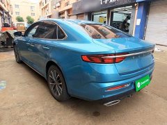 Geely Xingrui 2.0T Diesel Luxury - ფოტო 4
