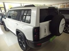 Haval Manlong New Energy Hi4 102 Air - ფოტო 4