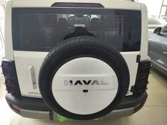 Haval Manlong New Energy Hi4 102 Air - ფოტო 5