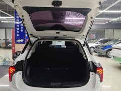 Neta V Long-Range Industry Custom Edition - ფოტო 18