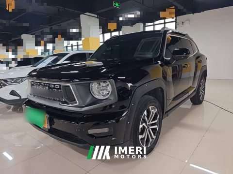 2023 Haval Big Dog PLUS 1.5T Two-Wheel Drive Trendy Wilderness Edition Plus - ავტომობილი ჩინეთიდან