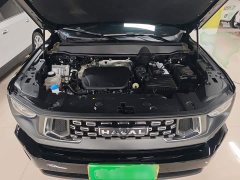 Haval Big Dog PLUS 1.5T Two-Wheel Drive Trendy Wilderness Edition Plus - ფოტო 19