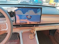 Wuling Bingguo S 325km Deluxe Edition - ფოტო 12