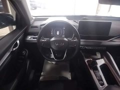 Geely Xingrui 2.0T Diesel Luxury - ფოტო 10