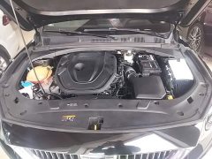 Geely Xingrui 2.0T Diesel Luxury - ფოტო 19