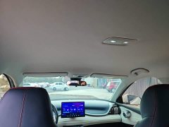 BYD Yuan Plus 430KM Luxury - photo 17
