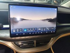 Denza D9 EV 600 AWD Luxury - ფოტო 12