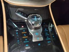 Denza D9 EV 600 AWD Luxury - ფოტო 13