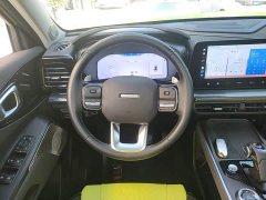 Haval Cool Dog 1.5T DCT AWD Trendy Wilderness Edition - ფოტო 10