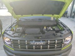 Haval Cool Dog 1.5T DCT AWD Trendy Wilderness Edition - ფოტო 19