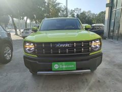 Haval Cool Dog 1.5T DCT AWD Trendy Wilderness Edition - ფოტო 2