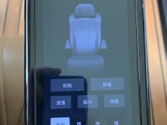 Denza D9 DM-i 970 AWD Premium Edition - photo 19