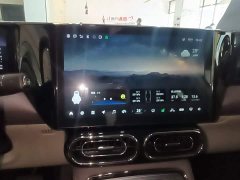 Leapmotor C11 Pure Electric 500 Smart Enjoy Edition - ფოტო 12