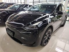 Tesla Model Y Rear-Wheel Drive - ფოტო 1