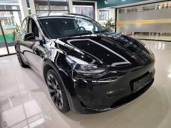 Tesla Model Y Rear-Wheel Drive - ფოტო 3