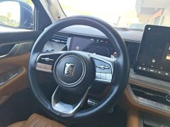 Tank 500 3.0T Sport Landscape Edition 5-Seater - ფოტო 10