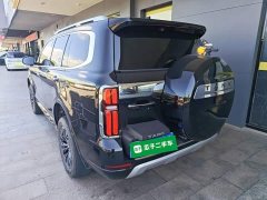 Tank 500 3.0T Sport Landscape Edition 5-Seater - ფოტო 4