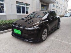 Tesla Model Y Long Range All-Wheel Drive Launch Edition - ფოტო 1