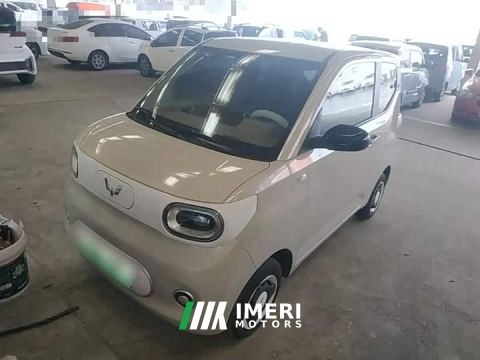 2024 Wuling Hongguang MINIEV Third Generation 215km Youth Edition