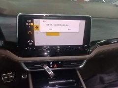 Volkswagen Viloran 380TSI Zunchi Edition - ფოტო 12