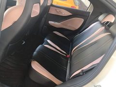 BYD Seagull Smart Drive 405km Flight Edition - ფოტო 16