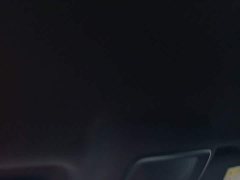 BYD Qin PLUS DM-i Smart Drive Edition 55KM Leading - ფოტო 17