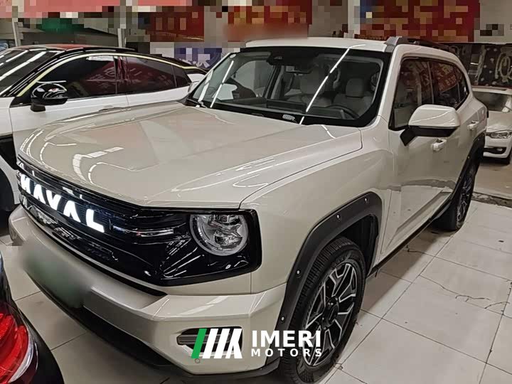 Haval Big Dog PLUS New Energy Hi4 150km Trendy EV Edition - ავტომობილი ჩინეთიდან