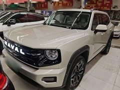 Haval Big Dog PLUS New Energy Hi4 150km Trendy EV Edition - ფოტო 1