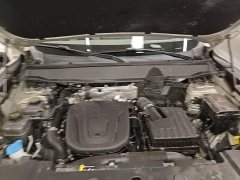 Haval Big Dog PLUS New Energy Hi4 150km Trendy EV Edition - ფოტო 15